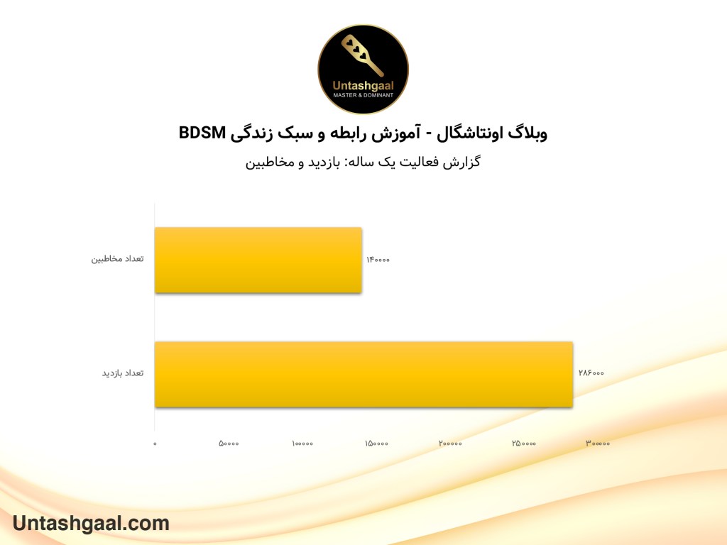 گزارش فعالیت یک ساله - بازدید و مخاطبین